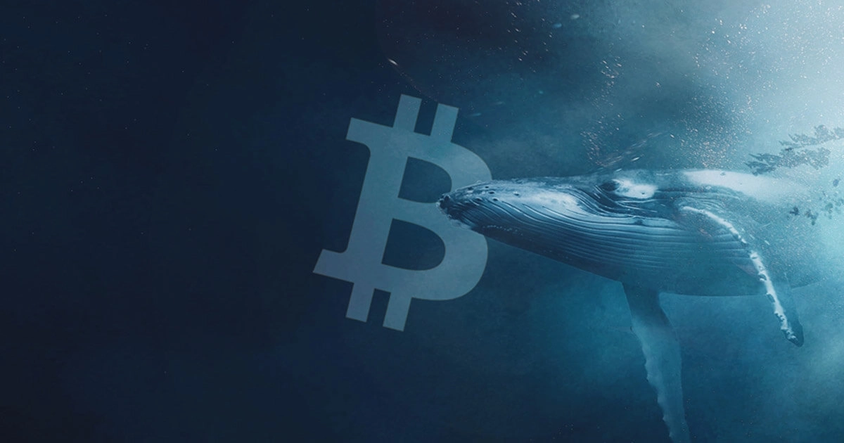 Lại có thêm ví Bitcoin từ thời Satoshi chuyển tiền lên sàn sau 10 năm bất động