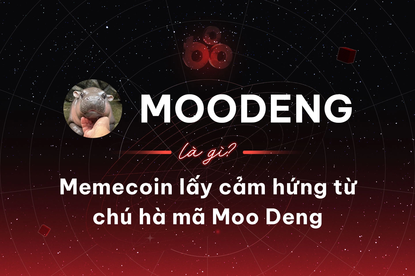 MOODENG là gì? Memecoin lấy cảm hứng từ chú hà mã Moo Deng