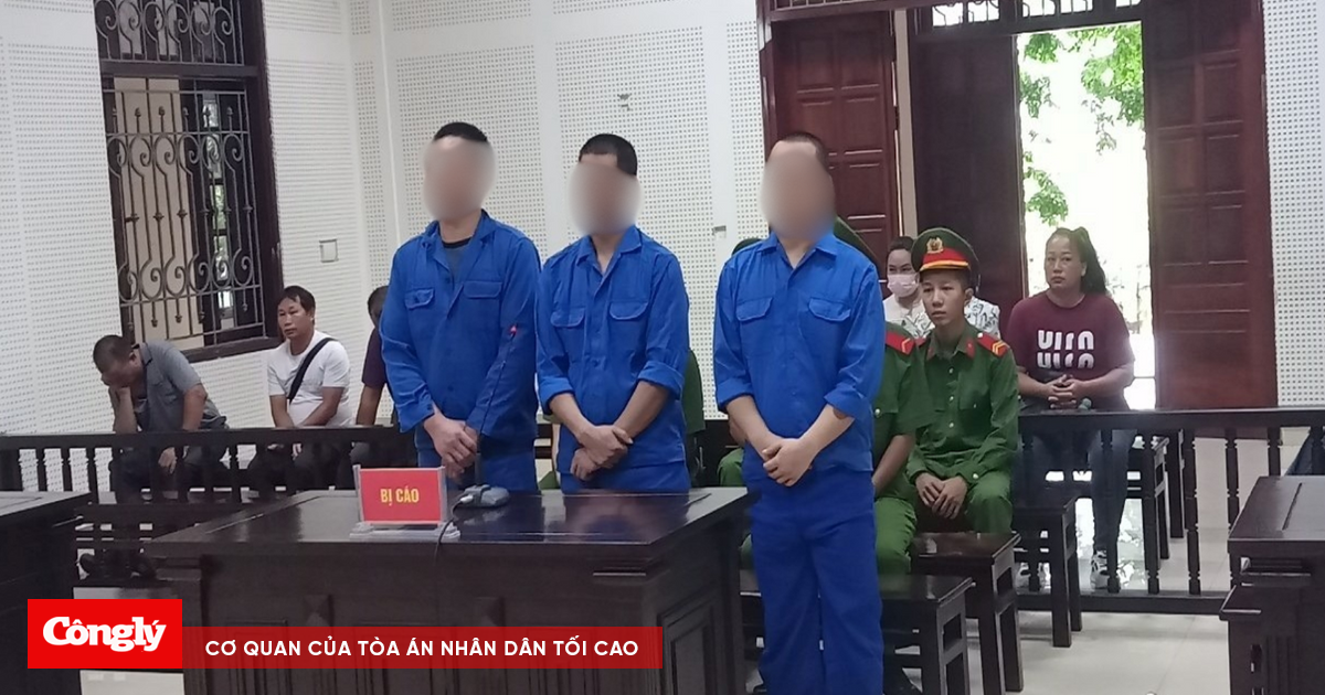 Lĩnh án vì nhận chở thuê người xuất, nhập cảnh trái phép