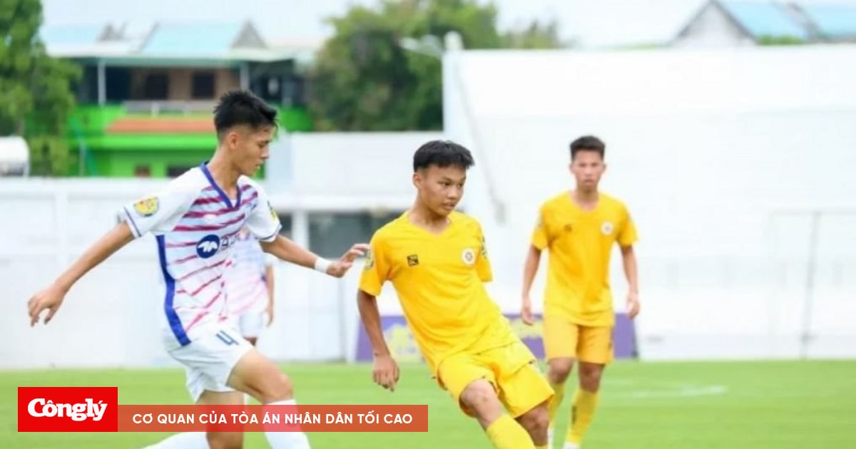 VFF tạm dừng nhiều giải đấu ở Việt Nam