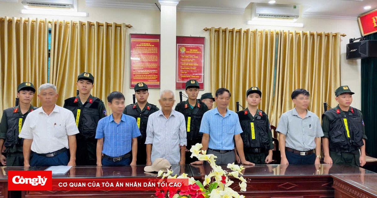 Nam Định: Chủ tịch xã bị khởi tố do sai phạm cho thuê thầu đất Cồn Xanh