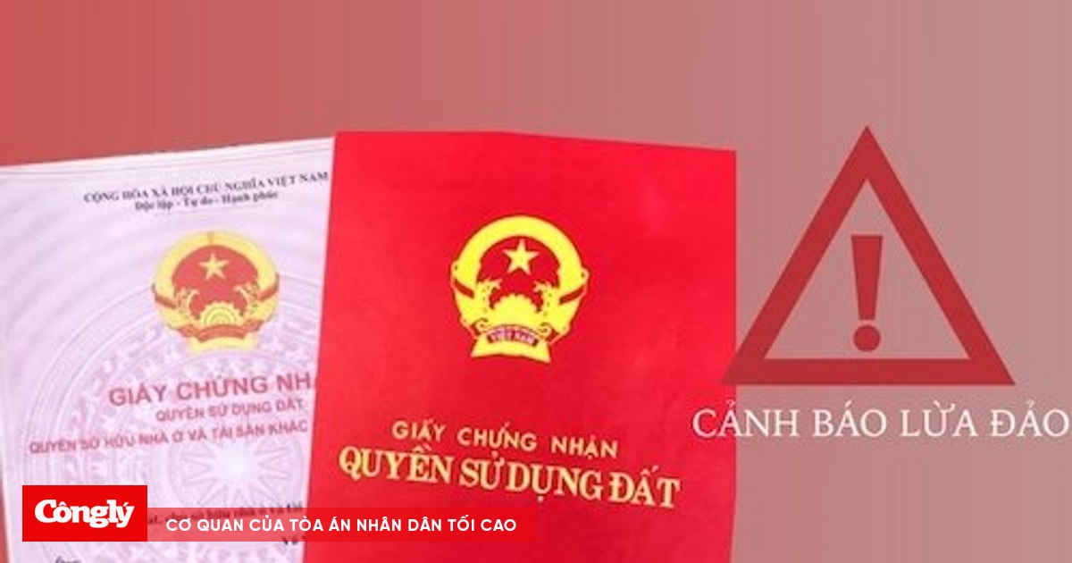 Lừa đảo chiếm đoạt tài sản, một cán bộ xã bị đề nghị truy tố