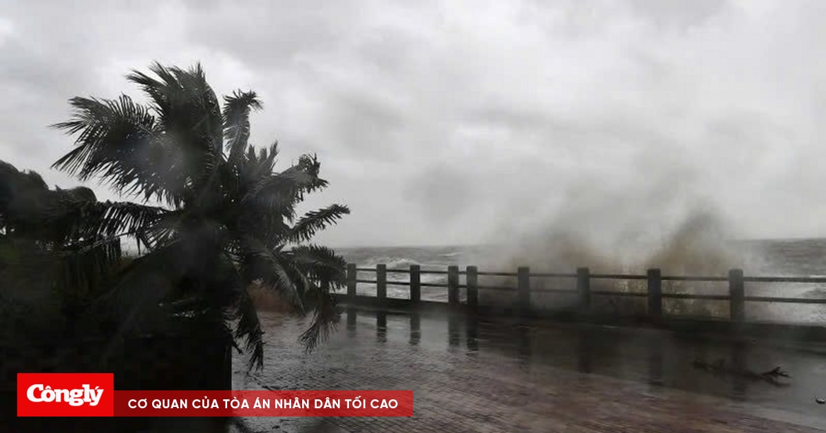 Siêu bão Yagi khiến 94 người thương vong ở Hải Nam, Trung Quốc