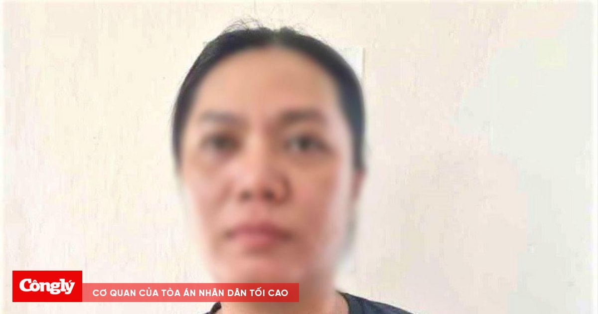 Nhận làm các thủ tục về đất đai, chiếm đoạt hơn 450 triệu đồng