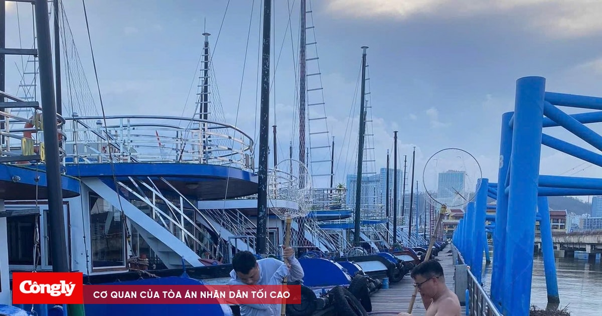 Vịnh Hạ Long đón khách du lịch trở lại từ 13/9