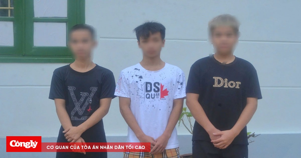 Nhóm đối tượng gây ra hàng loạt vụ trộm xe máy