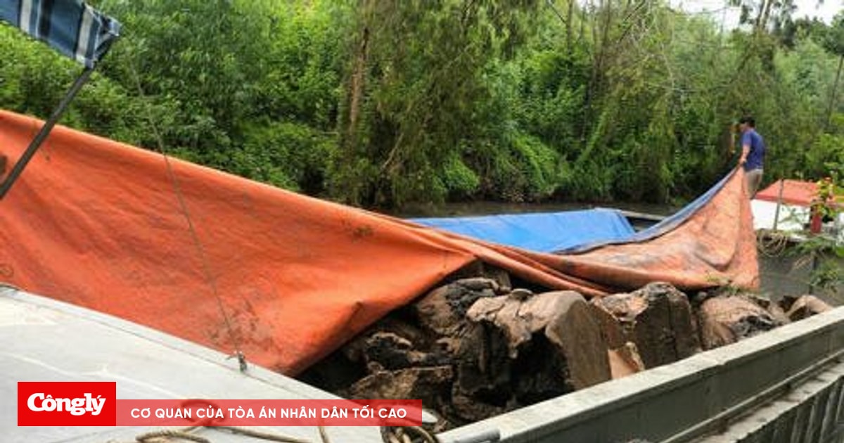 Bắt quả tang 2 vụ khai thác đất trái phép