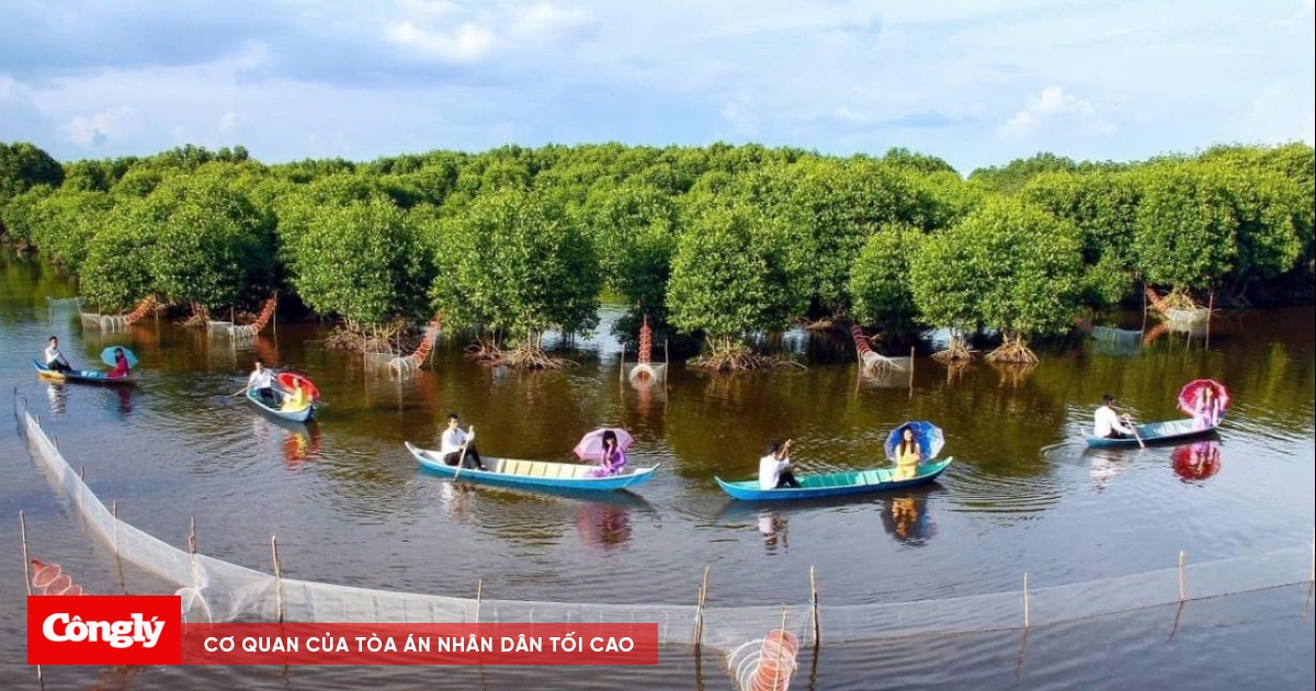 Cần tháo gỡ khó khăn cho du lịch nông nghiệp, nông thôn tại ĐBSCL