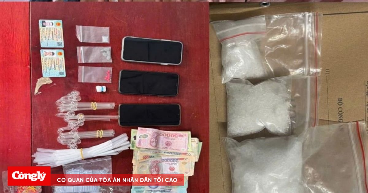 Triệt phá đường dây ma túy từ phía Bắc vào Thanh Hóa