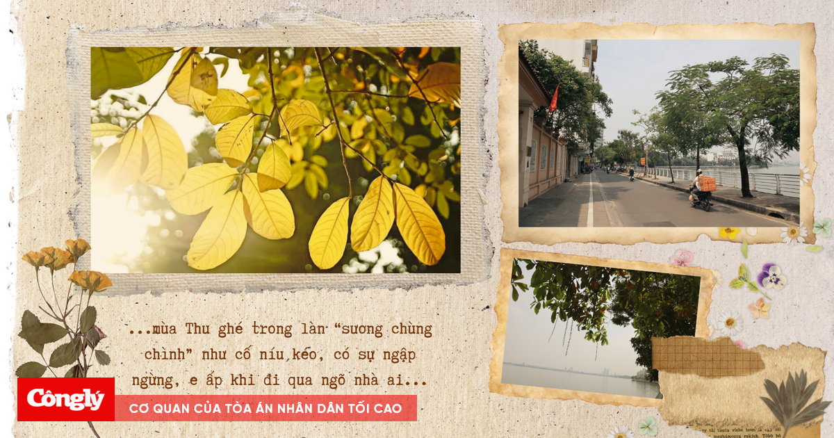 Hà Nội vắt mình sang Thu