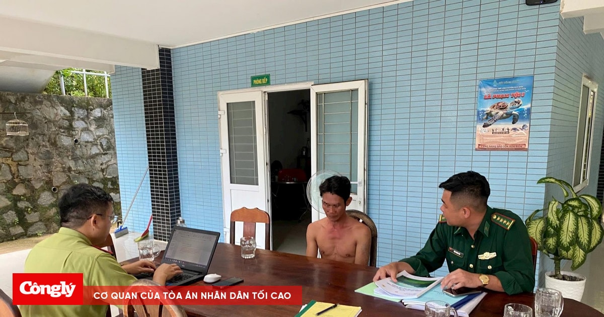 Bắt đối tượng vận chuyển 17 cá thể khỉ đuôi dài tại Côn Đảo