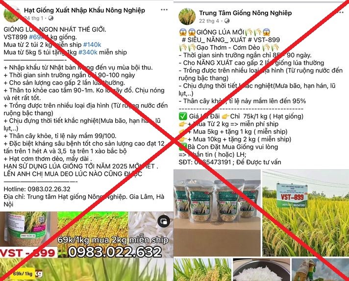 Bán thóc giống VST-899 giả trên mạng xã hội, 7 đối tượng bị khởi tố
